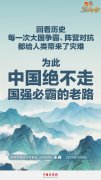 王毅：中国绝不走国强必霸的老路